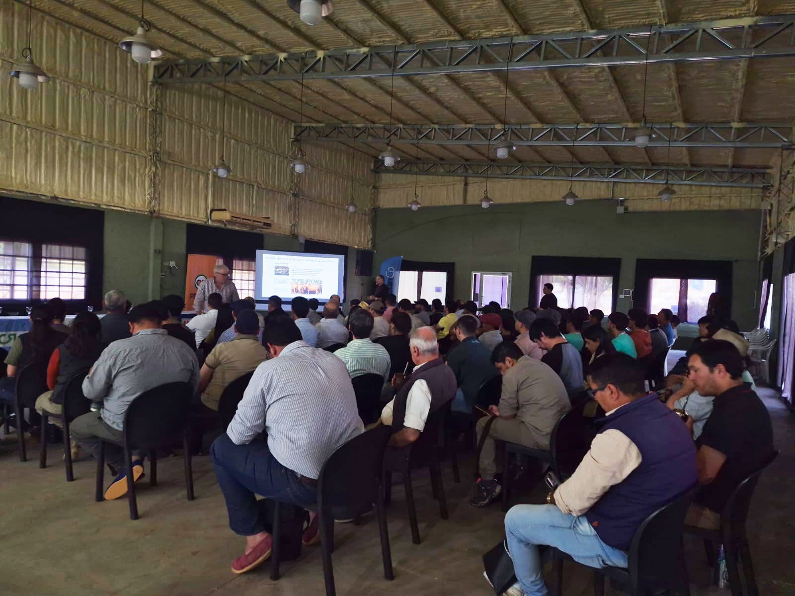 Carne argentina en la Unión Europea: sanidad y trazabilidad para sostener mercados